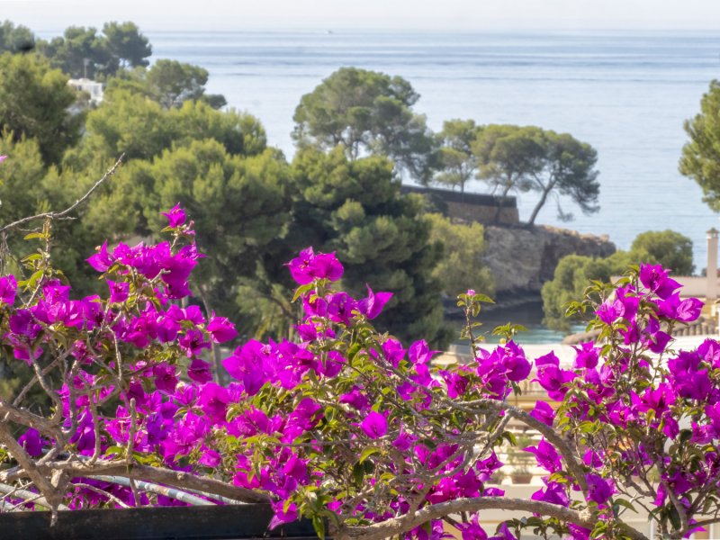 Apartamentos Bellatrix, Apartamentos en la playa en Portals Nous