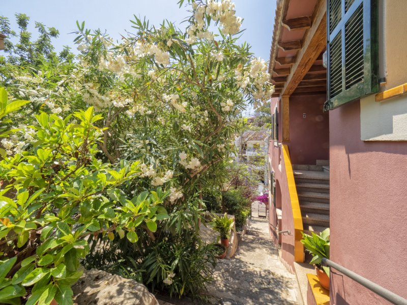 Apartamentos Bellatrix, Apartamentos en la playa en Portals Nous