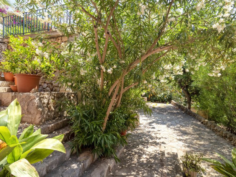 Apartamentos Bellatrix, Apartamentos en la playa en Portals Nous